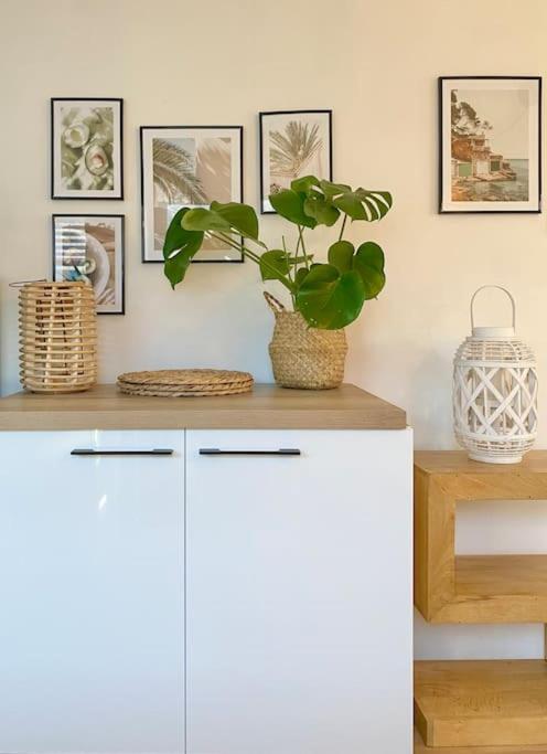 The Barefoot Bungalow In Picturesque פרסטאטין מראה חיצוני תמונה